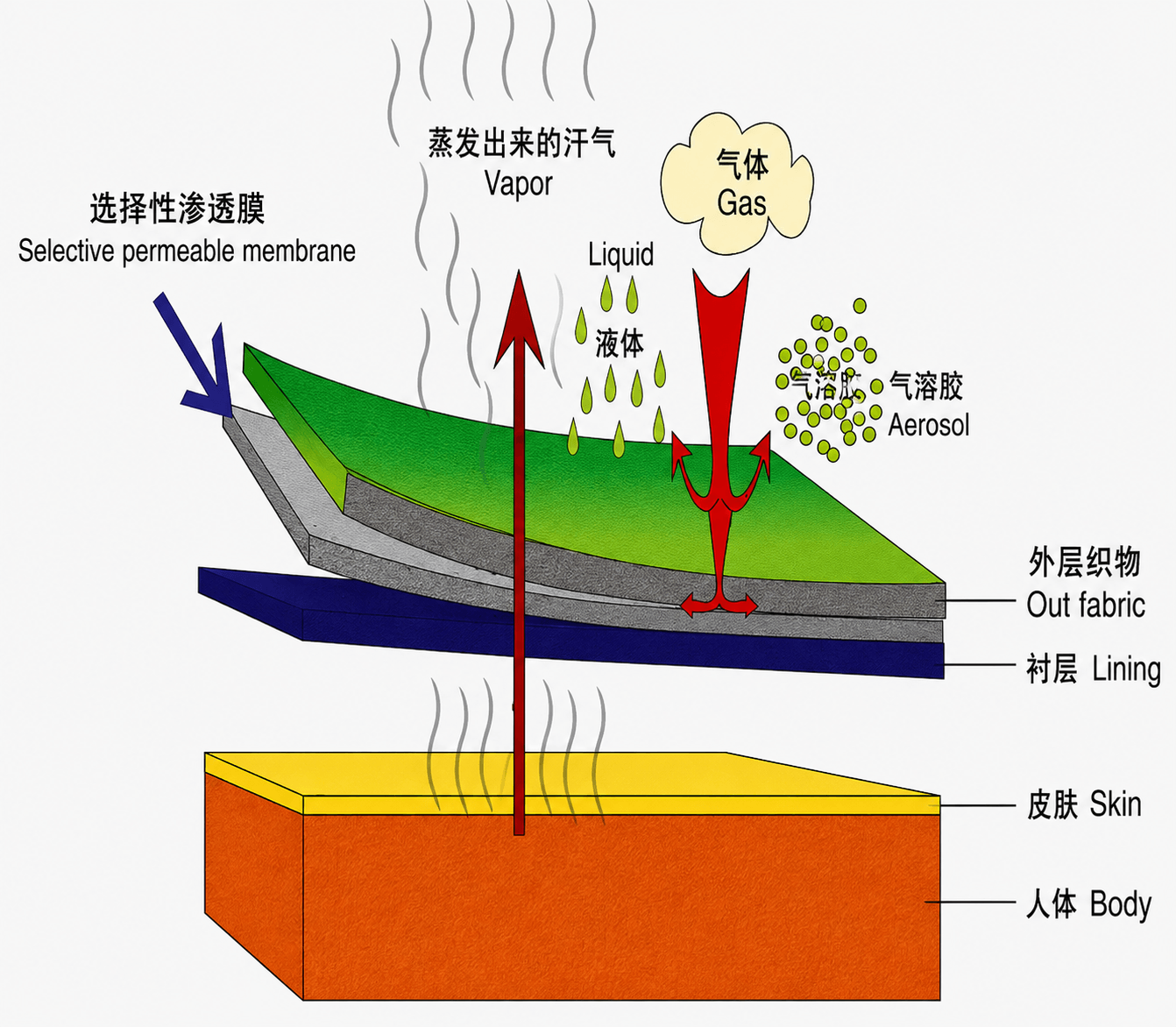 High moisture permeability (2)
